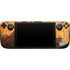 Frazetta Barbarian Steam Deck Handheld Gaming Computer Skin
